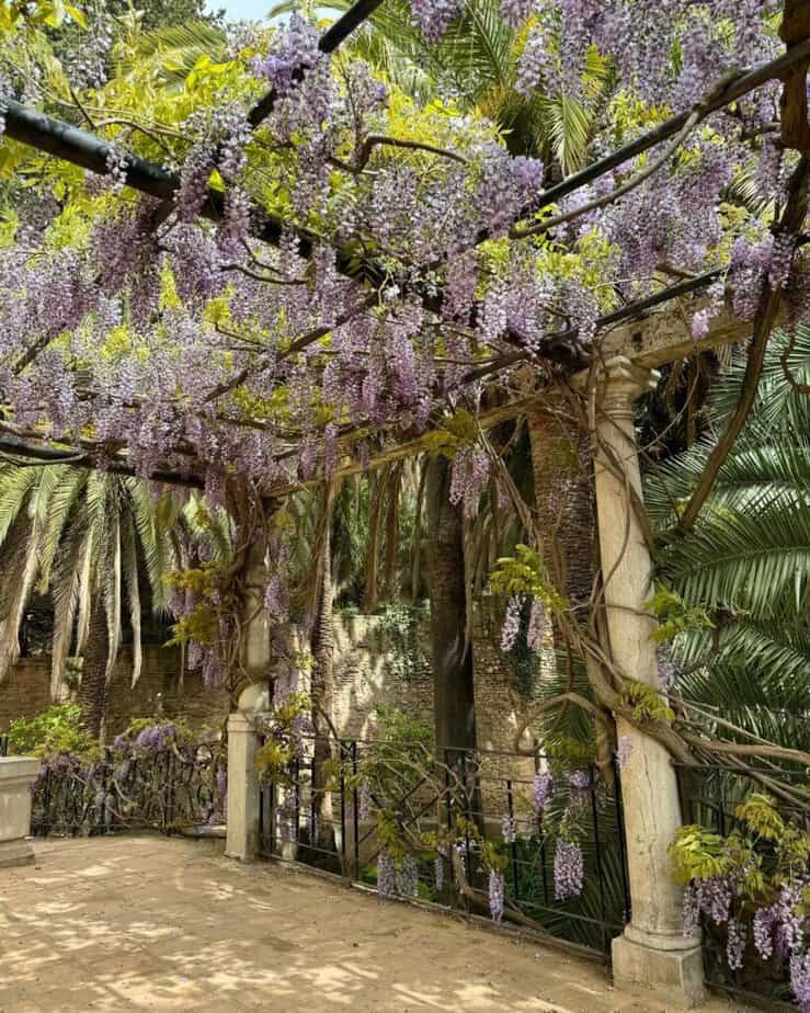 granada spain gardens